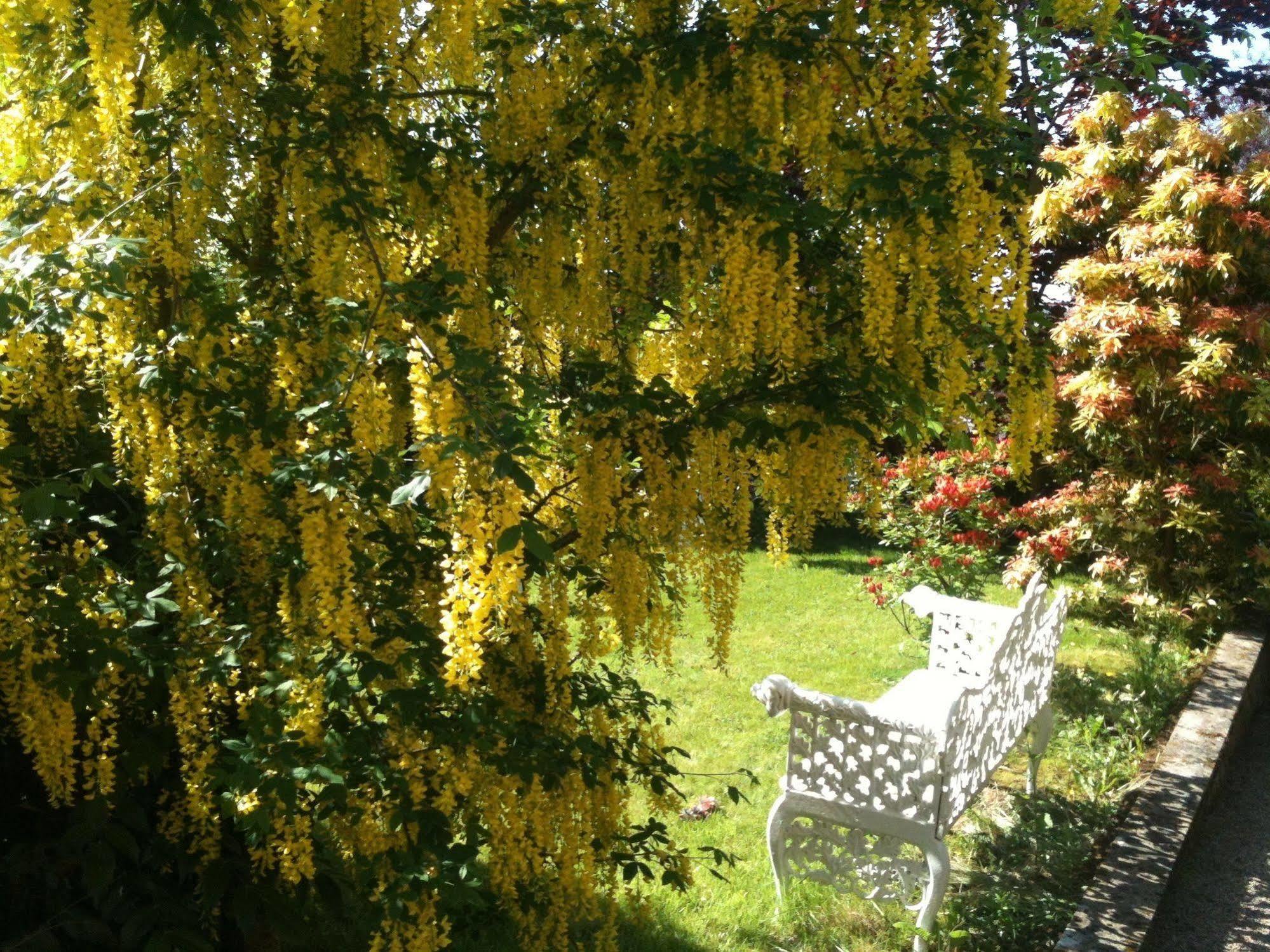 Bed and Breakfast Charlemont House Moy Exteriér fotografie